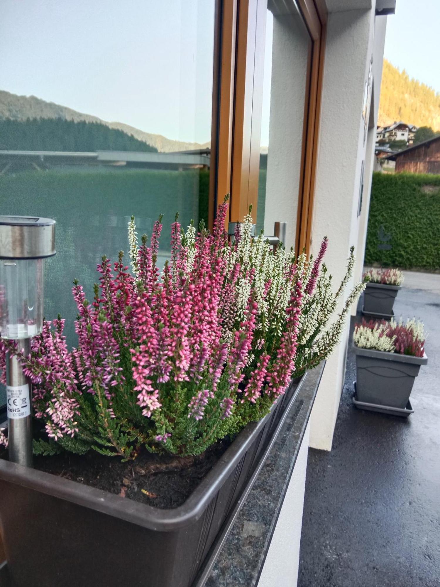 Ferienhaus Haueis Tumpen Buitenkant foto